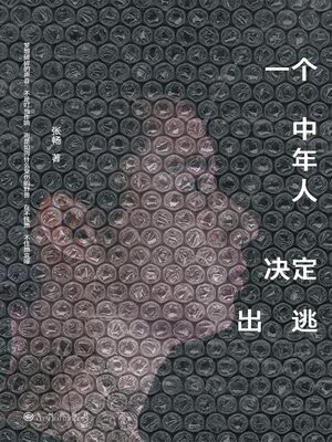 cover image of 一个中年人决定出逃